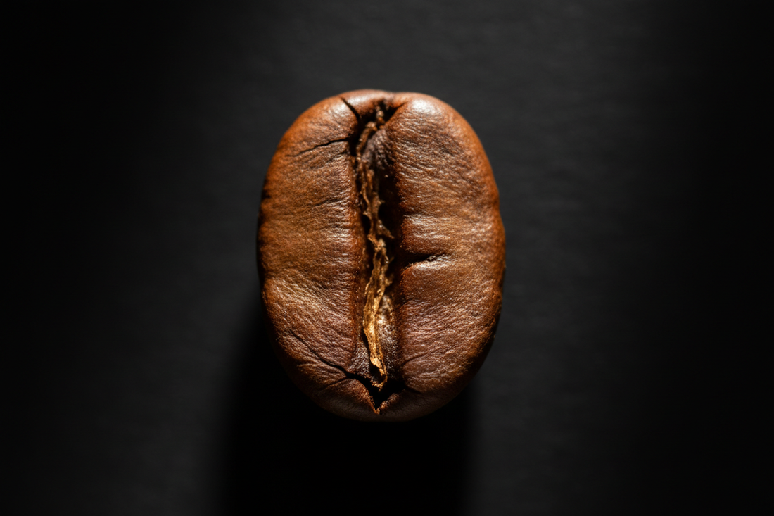 The Many Flavors from a Single Coffee Bean and Its Intricate Process