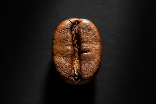 The Many Flavors from a Single Coffee Bean and Its Intricate Process